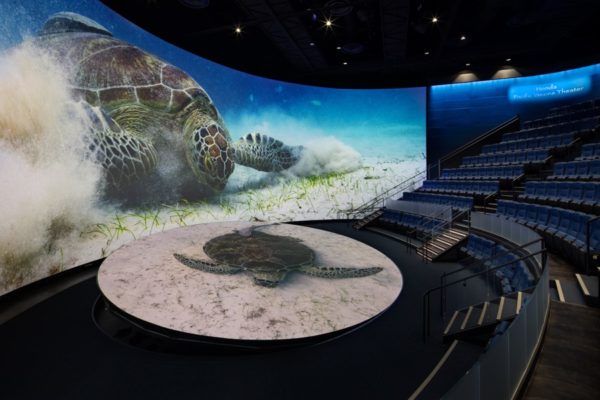 Aquarium of the Pacific, Long Beach, USA