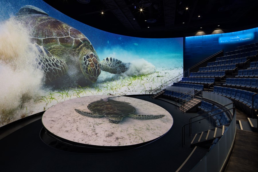 Tempest Zen enclosure Aquarium of the Pacific